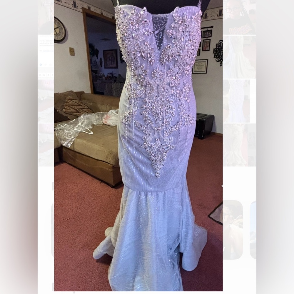 Elegant silver Embellished Gown